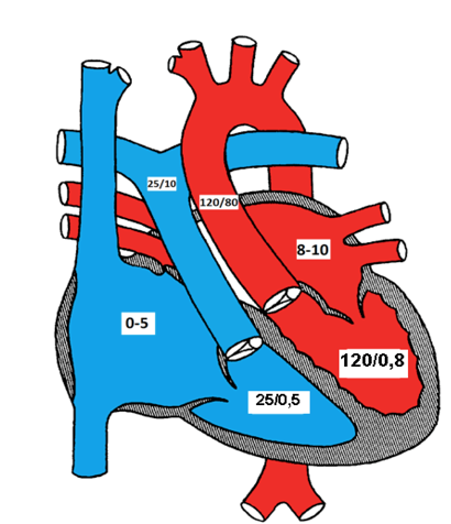 normal pressures in the various chambers of the heart